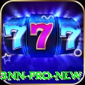 33nn Pro New