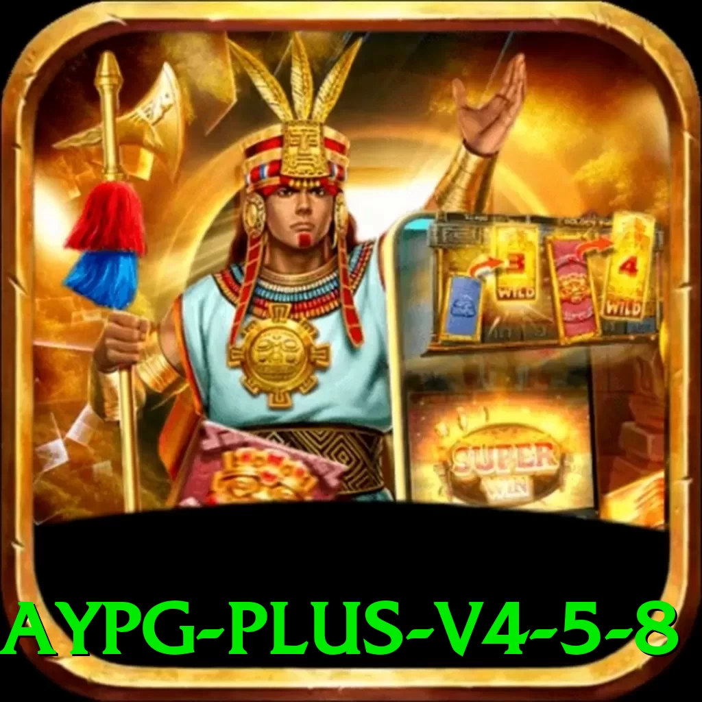 baypg Plus v4.5.8 - app